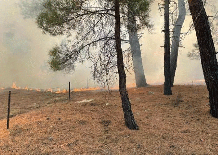 Antalyada orman yangını