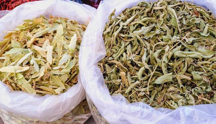 Kış çayının da bir sınırı var: Uzmanı uyardı 'Böbreklere zarar verebilir'