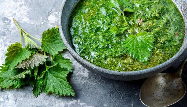 Yol kenarında yetişiyor! Kimse yüzüne bakmıyor ama Sivaslılar mutfağından eksik etmiyor