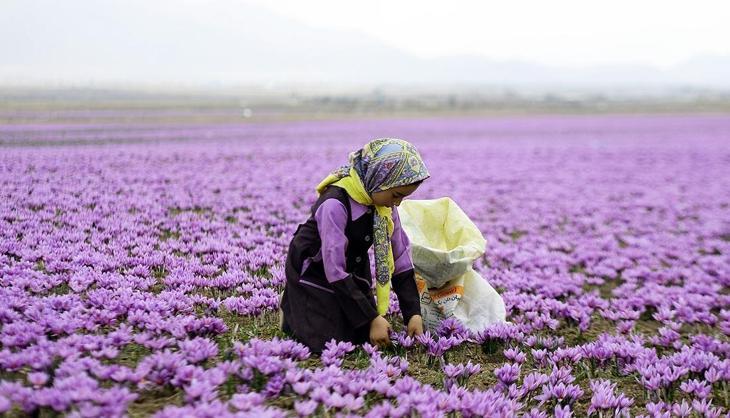 Altını tahtından indirdi: 3 kilosuyla bir ev alınıyor!
