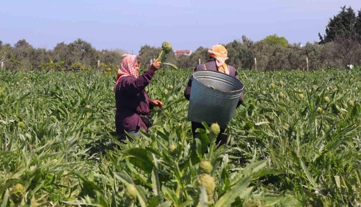 Hafta sonu hobi olarak başladı, şimdi Türkiye'nin dört bir yanına koli koli gönderiyor! Talebe yetişemiyor...