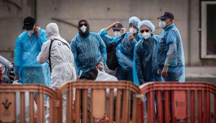 Avrupa Birliği'nde hantavirüs alarmı