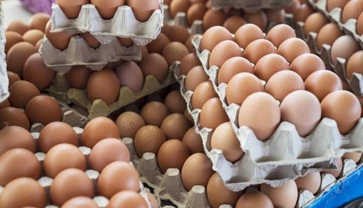 Yumurtaları buzdolabının kapağında saklayan herkesi ilgilendiriyor! Meğer kendi elimizle zehir üretiyormuşuz
