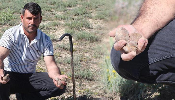 'Dolaman kurdu' olarak biliniyor, günde 60 bin liralık mantar topluyor! Kilosunu bin 500 TL'den satıyor