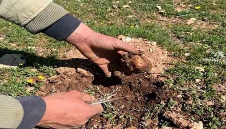 Türkiye'den Lübnan ve Katar'a çuval çuval satılıyor! Kilosu tam 2 bin lira: Bulana anında ev ve araba aldırıyor...