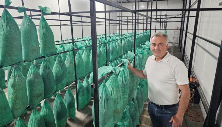 Karanlık tünelden bereket taştı! Artvin'de bir ilk: Kilosu resmen altınla yarışıyor