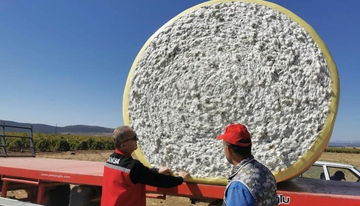 Saruhanlı'da 'beyaz altın' için büyük gün geldi! Tarlalarda dev hasat mesaisi başladı
