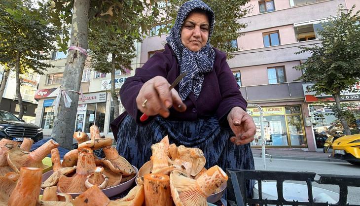 Ormandan kova kova toplayıp pazarda kilosunu 600 liradan satıyorlar! Bolu'da yağışlar yüz güldürdü