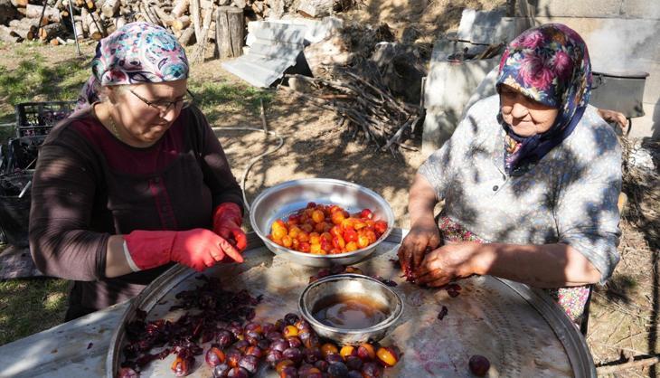 Osmanlı mutfağının vazgeçilmez meyvesi! Bağırsakları anında çalıştırıyor, kansere karşı etkisi kanıtlandı