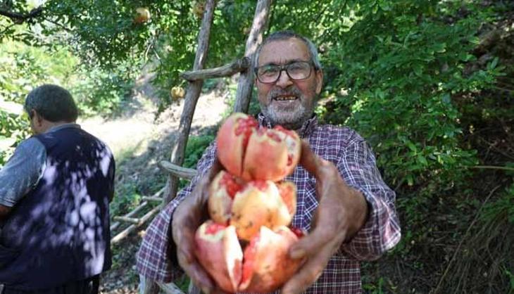 Her yerde yetişiyor ama o lezzet hiçbir yerde bulunamıyor! Tarlada 80 liradan kapışılıyor