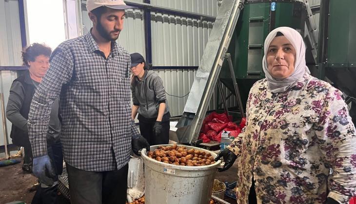 Buğday ekenler pişman olacak! Tarlada servet yatıyor: Yıllık tam 200 ton satacak...