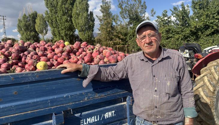 Kilosu 5 TL'ye kadar düştü! Üreticisi düşünceli: 'Bu yıl gibisini görmedik'