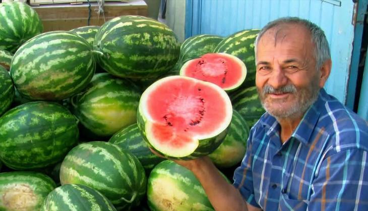 Yaz bitti, karpuz hasadı bitmedi! Gaziantep’te emekçilerin mesaisi devam ediyor, Türkiye'nin dört bir yanına gönderiliyor