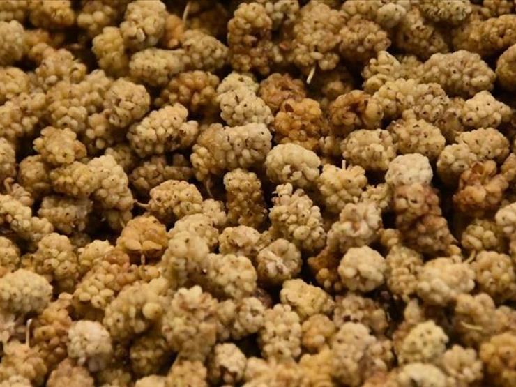 Anne sütünü artırdığı söyleniyor! Lohusaların mutfağından eksik etmediği kuru me