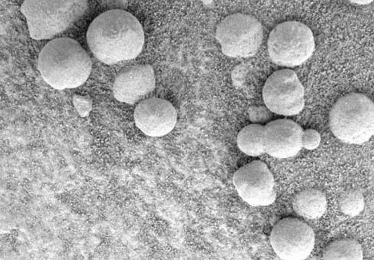 NASAnın yayınladığı inanılmaz fotoğraflar