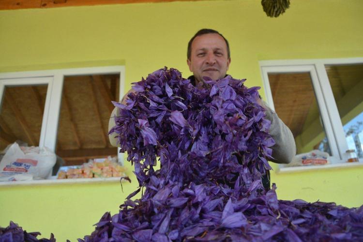 Safranın kilosu 45 bin lira