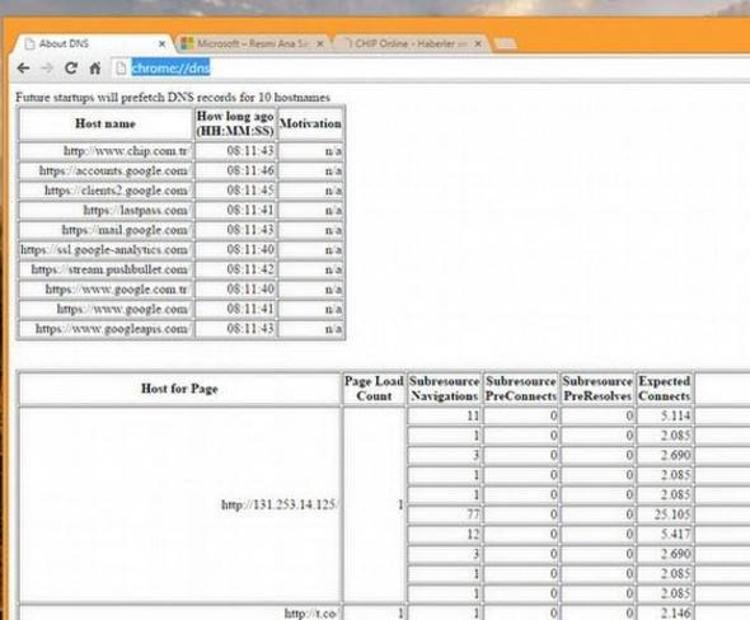 DNS kayıtlarını görün
