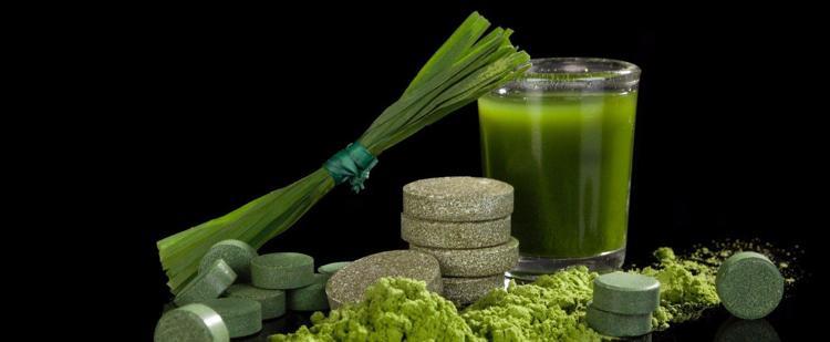 Spirulina nedir