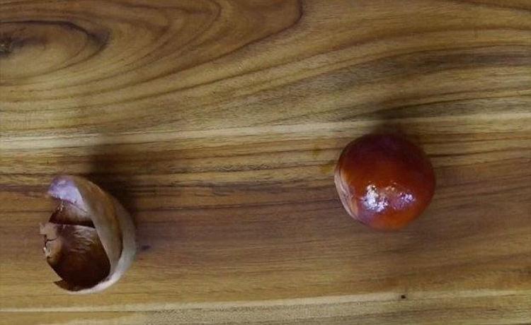 Avokado çekirdeğini çöpe atmadan önce bir daha düşünün