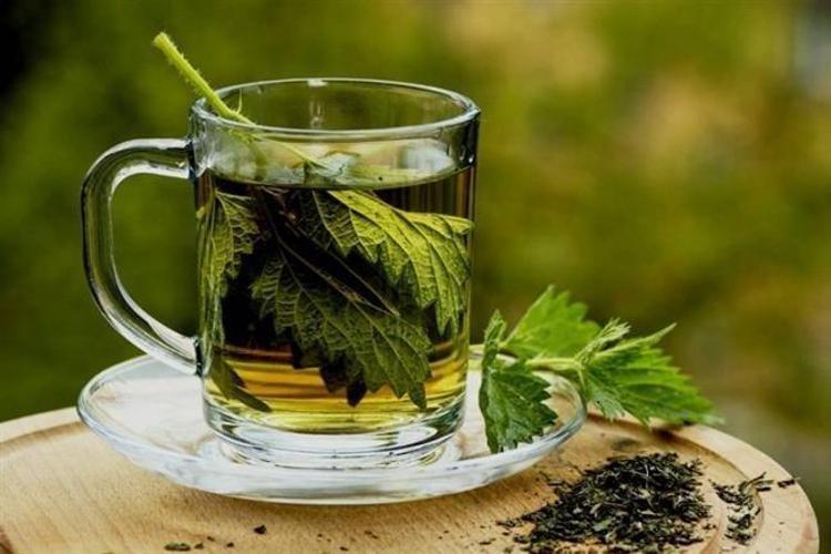 MAYDANOZ ÇAYI