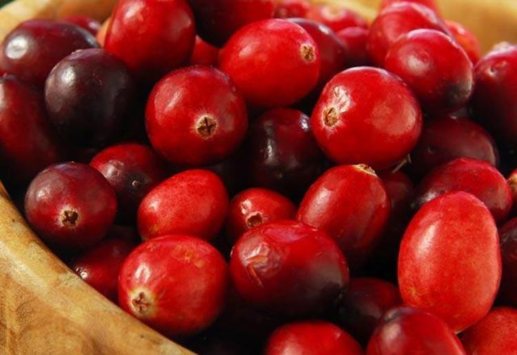 Bu meyveyi yiyen antibiyotik kullanmıyor (Turna yemişi nedir)