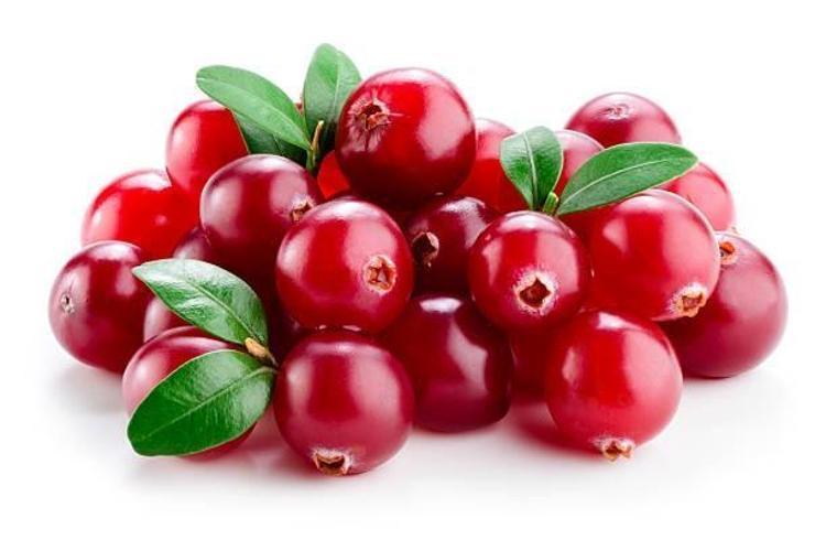 Bu meyveyi yiyen antibiyotik kullanmıyor (Turna yemişi nedir)
