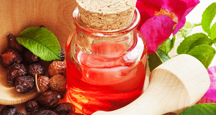 KUŞBURNU BİTKİSİNİN İÇERİĞİNDE NELER VAR