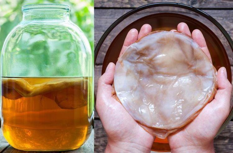 Kombu çayı nedir ve faydaları nelerdir