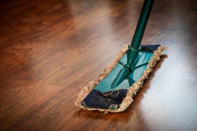 Karıncalara zarar vermeden evinizden uzak tutmanın püf noktaları
