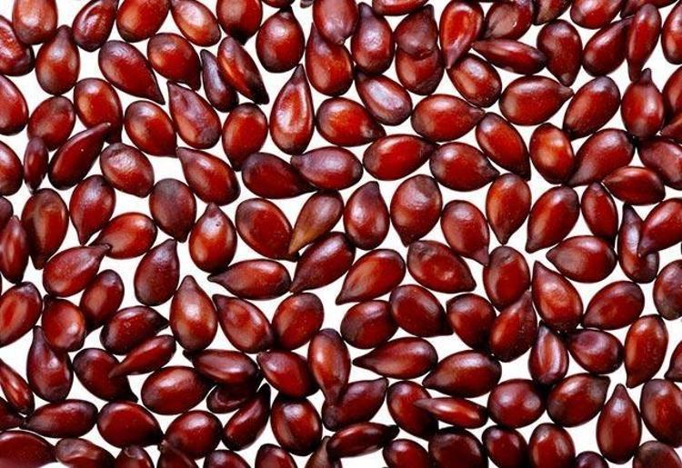 Yüz Ve Cilt Sarkması İçin Ayva Çekirdeği Maskesi