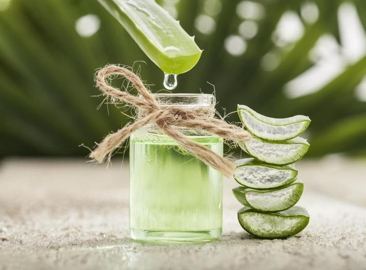 pro natures aloe vera gel test [VEGAN BEAUTY] Mild & Moisture ALOE VERA Watery Gel & Gel Tube main image 1