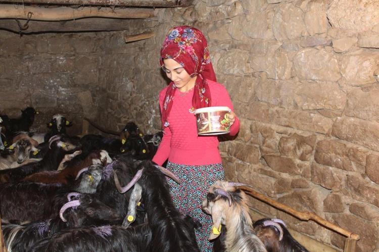 Devlet desteğiyle hayvancılık yapıyor