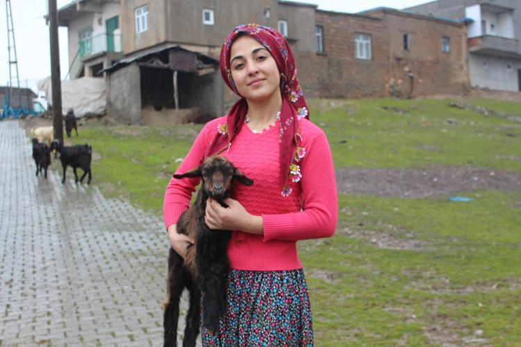 Devlet desteğiyle hayvancılık yapıyor