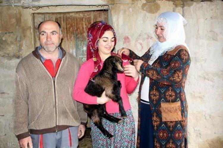 Devlet desteğiyle hayvancılık yapıyor
