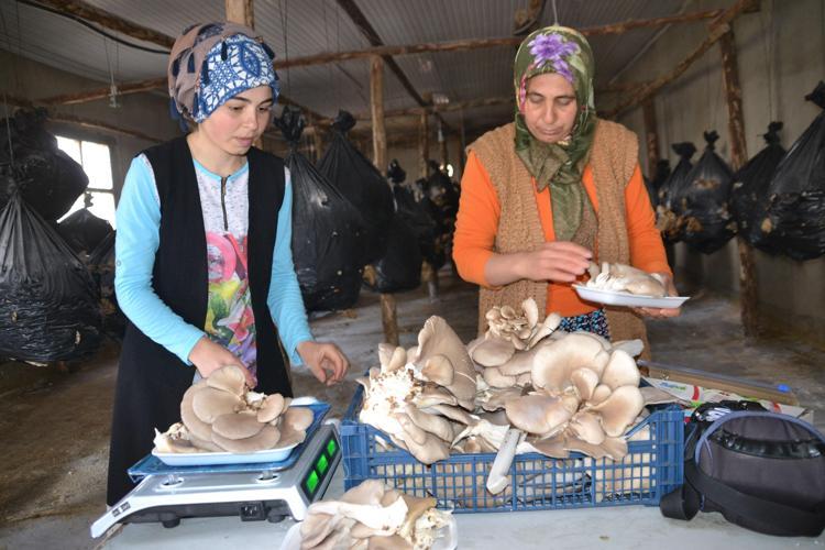 HAYALİM İLÇE DIŞINA DA SATIŞ YAPMAK
