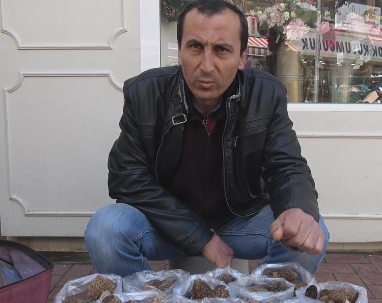 Yağmur yağınca ortaya çıktı Kilosu 100 TLden satılıyor