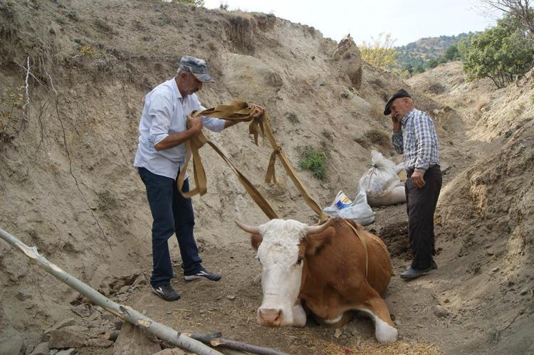 2 gün süren çalışması sonucu kurtarıldı