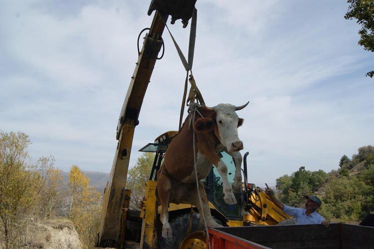 Allah razı olsun hepsinden