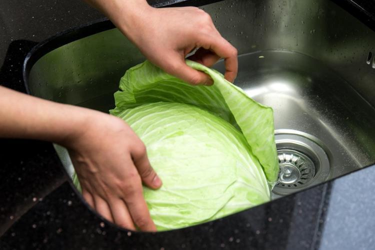 Kolon kanserini önlüyor İşte lahana kürünün faydaları