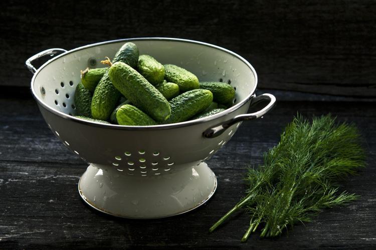 Salatalık