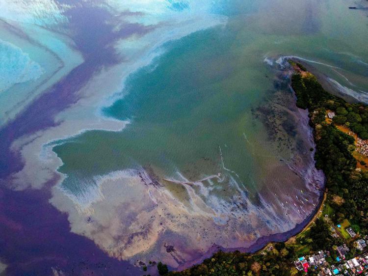 Mauritiusda okyanusa akan petrolün temizlenmesi için saç kampanyası başlatıldı