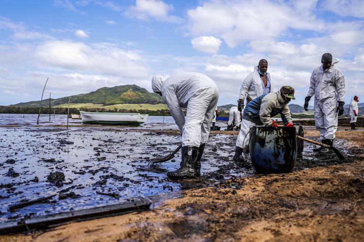 Mauritiusda okyanusa akan petrolün temizlenmesi için saç kampanyası başlatıldı