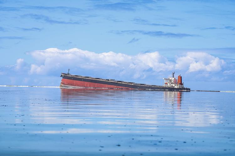 Mauritiusda okyanusa akan petrolün temizlenmesi için saç kampanyası başlatıldı