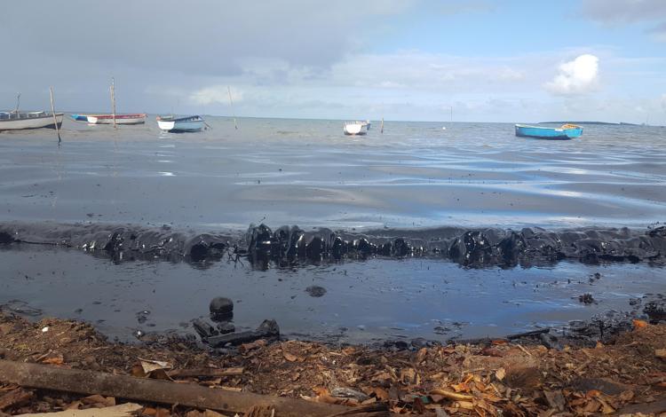 Mauritiusda okyanusa akan petrolün temizlenmesi için saç kampanyası başlatıldı