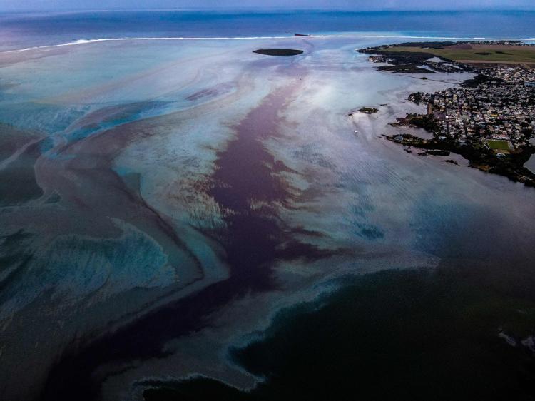 Mauritiusda okyanusa akan petrolün temizlenmesi için saç kampanyası başlatıldı