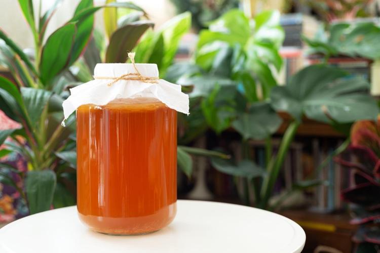 Kombu çayı mı kefir mi