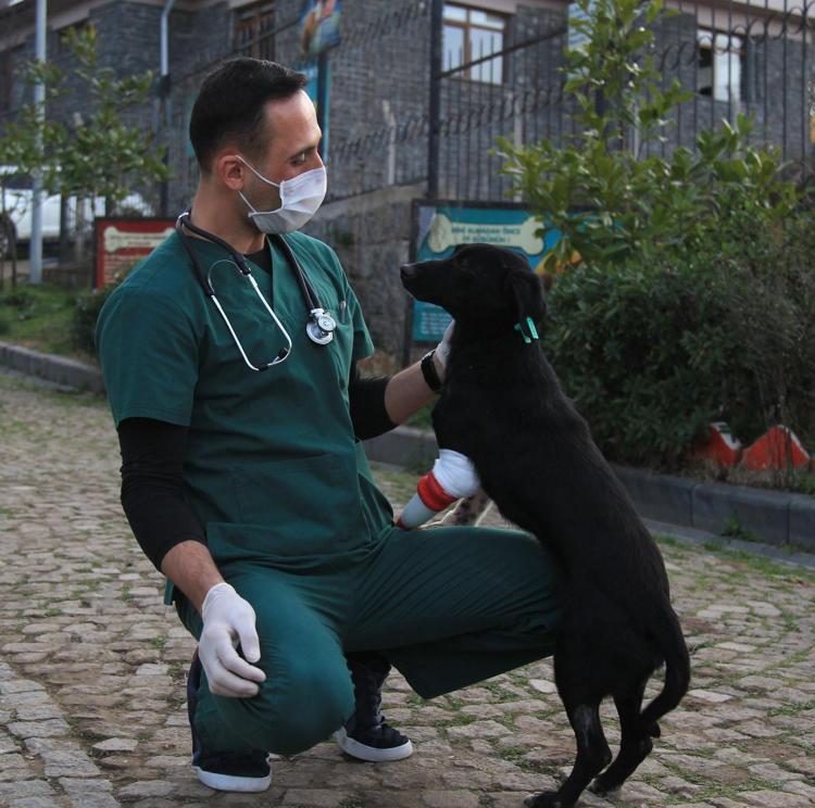 Bacağını kaybeden köpek Jacke 3D yazıcıdan protez yaptılar