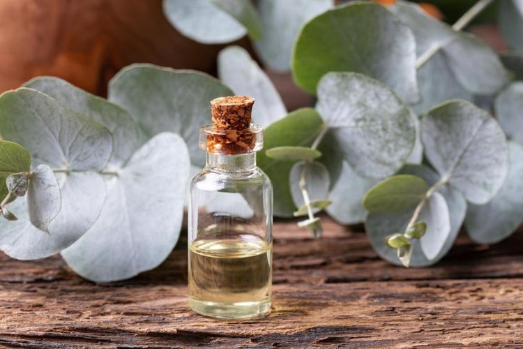 AROMATİK YAĞLAR