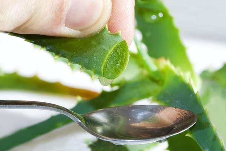 aloe vera pelle ALODERMA Pure Aloe Vera Gel - 45g