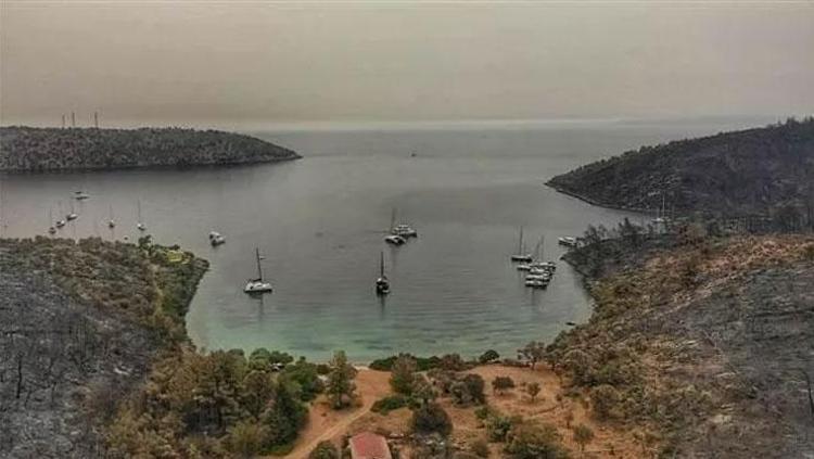 Son dakika:  Bodrum ve Milas yangınının ardından yürek yakan görüntüler